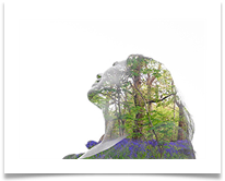 The Ecofeminist Double X June Bannister - June Bannister